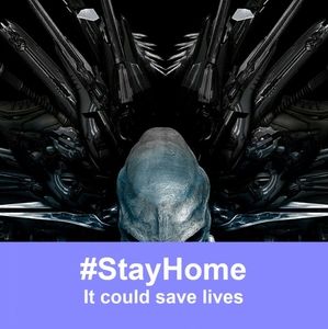 Meet your Posher, Wayne